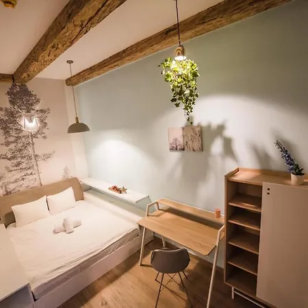 Apartment Casa Flat 1 Brasov