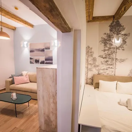 Apartment Casa Flat 1 Brasov
