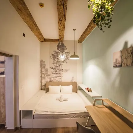 Casa Flat 1 Apartment Brasov
